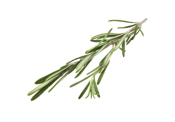 rosemary on white background - Foto, afbeelding