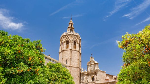 Valencia Katedrali ve Miguelete - Fotoğraf, Görsel