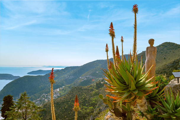 View from the exotique garden in Eze - 写真・画像