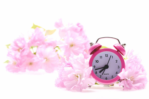 Vintage alarm clock in sakura blossom isolated on white - Fotografie, Obrázek