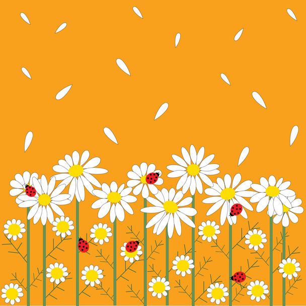 Chamomile flowers on orange background - Vector, imagen