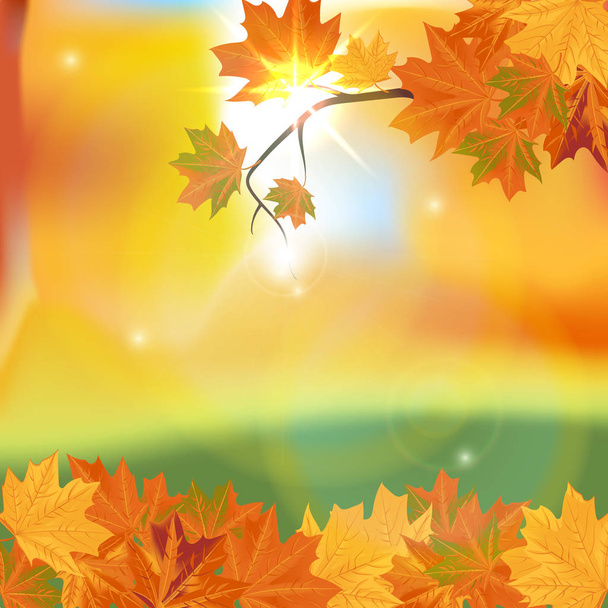 Autumn background with leaves. Back to school. Vector illustration. - Vector, Imagen