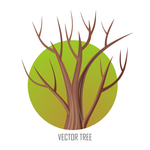 Geïsoleerde eiken boom zonder bladeren - Vector, afbeelding