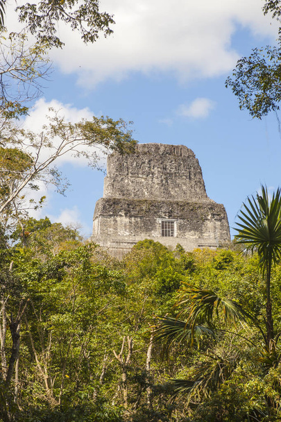 Templo IV em Tikal Guatamala
 - Foto, Imagem
