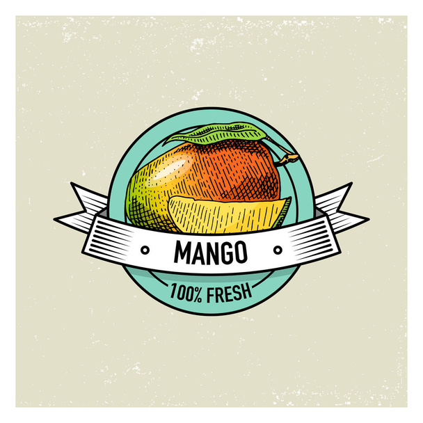 Mango Vintage, elle çizilmiş taze meyve arka plan, yaz bitkiler, vejetaryen ve organik narenciye ve diğer, oyulmuş. - Vektör, Görsel