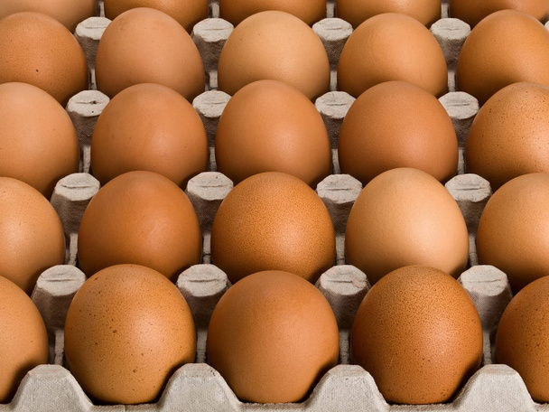 Large, brown eggs in cardboard packing - Fotoğraf, Görsel