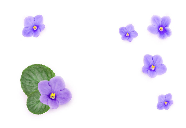 Niebieski piękne kwiaty na białym tle - Zdjęcie, obraz