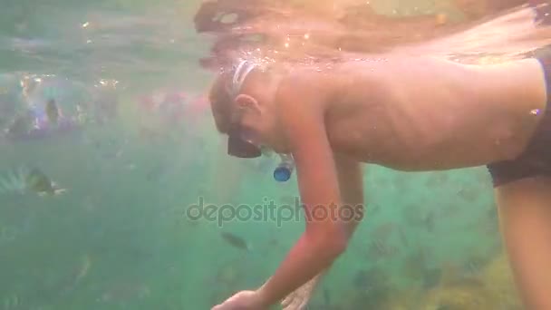 Dziecko kąpie się w morzu z ryba w słońcu. Nurkowanie w maskach. Tropikalna wyspa - Materiał filmowy, wideo