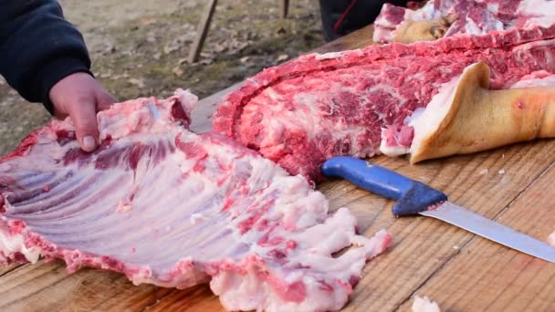 käsin leikattu sianliha, juuri teurastettu sika, sianteurastusfestivaali, Belo Blato, Vojovina, Serbia, 12. maaliskuuta 2017
. - Materiaali, video