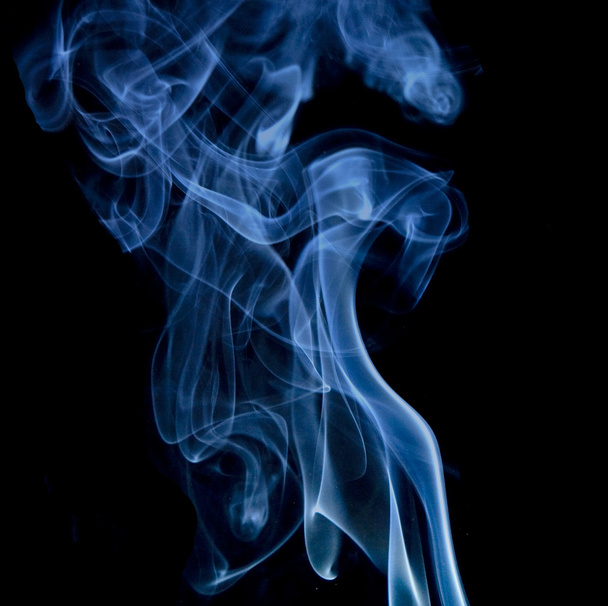 Blauwe rook - Foto, afbeelding