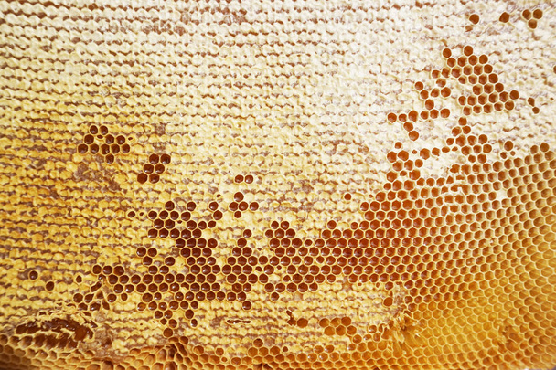Стільникові з медом
 - Фото, зображення