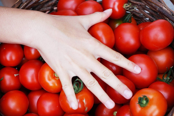 fresh tomatoes texture - Photo, Image