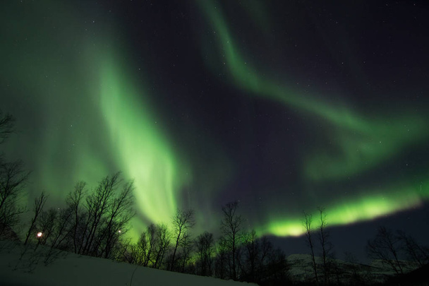 Luces boreales cerca de Lyfjord, Noruega
 - Foto, Imagen