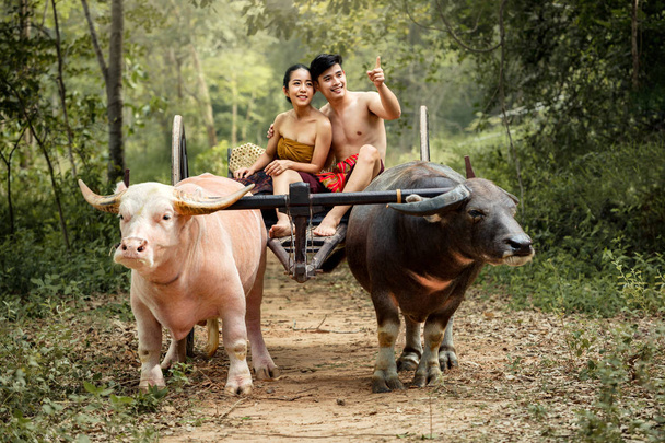 Ζευγάρι Ταϊλάνδης αγρότες οικογενειακή ευτυχία στιγμή Buffalo ζυγό  - Φωτογραφία, εικόνα