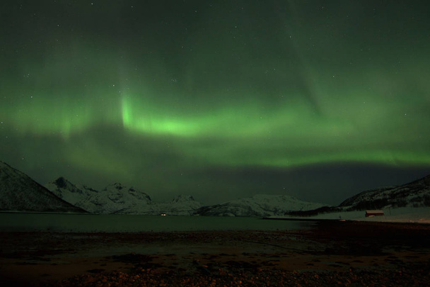 Luzes do norte em Lyfjord, Noruega
 - Foto, Imagem