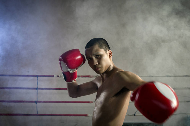 Professional Muay Thai boxer akce  - Fotografie, Obrázek