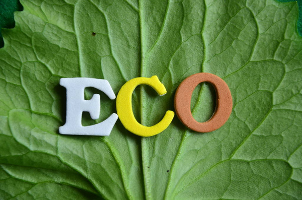 word eco on a abstract   - Photo, Image