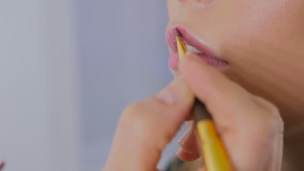 Professional make-up artist applying lipstick on lips of client - Felvétel, videó