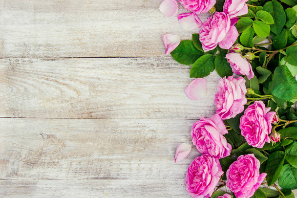 schöner Hintergrund mit rosa Rosen. Selektiver Fokus.  - Foto, Bild