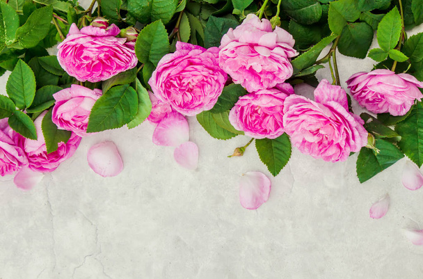 Beautiful background with pink roses. Selective focus.  - Photo, Image