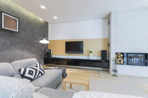 Living room with TV and fireplace - Valokuva, kuva