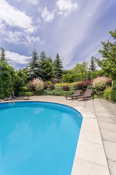 Luxurious villa garden with a pool - Foto, afbeelding