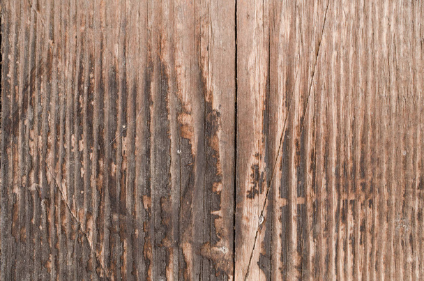 Burnt wood texture brown color - Photo, image