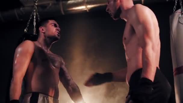 Dos boxeadores masculinos
  - Imágenes, Vídeo