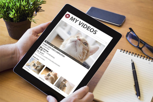 tablet με γάτες βίντεο στην οθόνη - Φωτογραφία, εικόνα