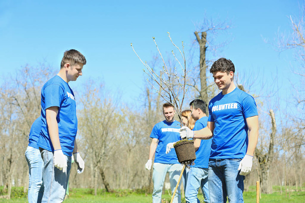Group of volunteers working in park on sunny day - Foto, Imagem