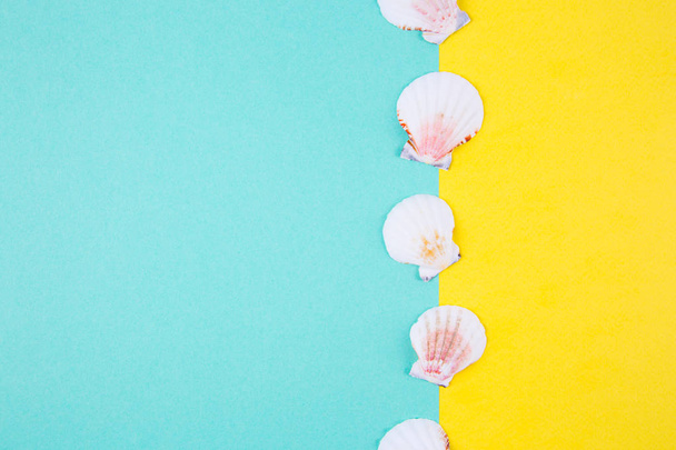 Zee mantel schelpen op een gekleurde achtergrond met negatieve ruimte, t - Foto, afbeelding