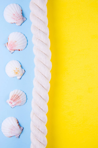 Corde de mer et coquilles de pétoncle sur fond coloré avec négatif
 - Photo, image