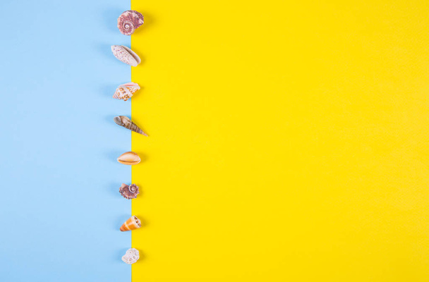 Морские раковины на цветном фоне с отрицательным пространством, вид сверху
 - Фото, изображение