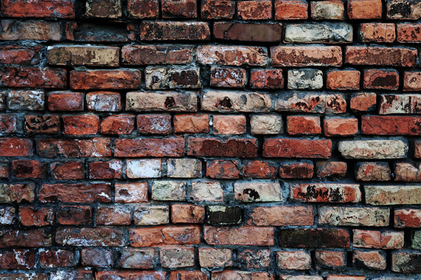 Brick wall close-up - Φωτογραφία, εικόνα