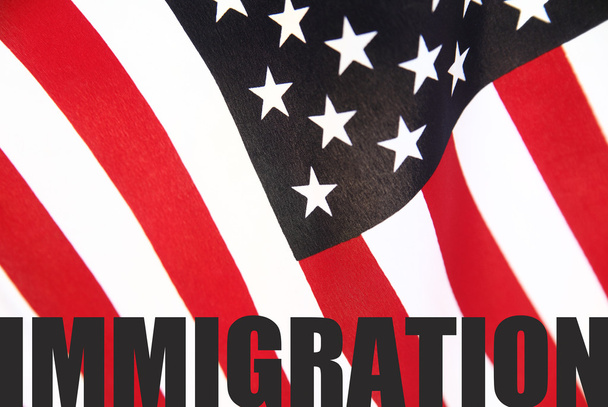 Bandera americana con palabra de inmigración
 - Foto, imagen