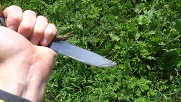 mes in de hand op de achtergrond van groen gras - Video