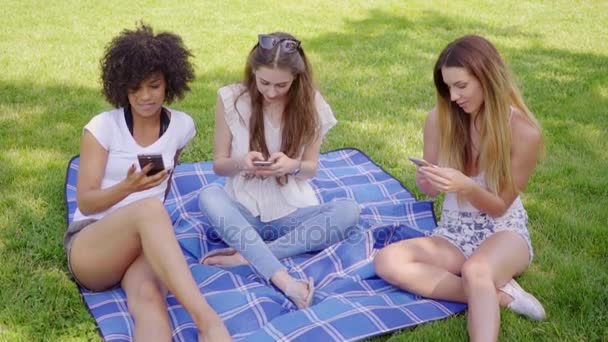 Frauen surfen im Park mit Smartphones - Filmmaterial, Video