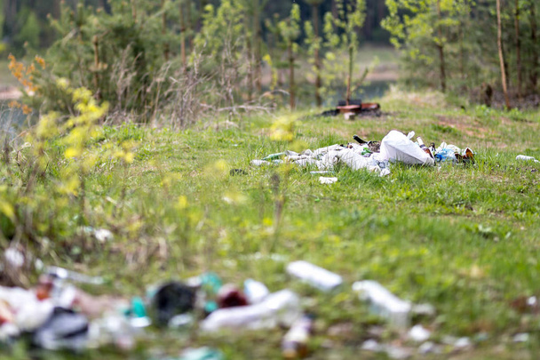 мусорная свалка в лесу
 - Фото, изображение