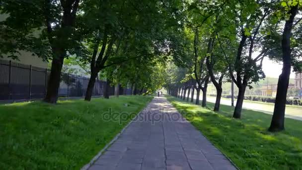Piękny park, w centrum Warszawy. - Materiał filmowy, wideo