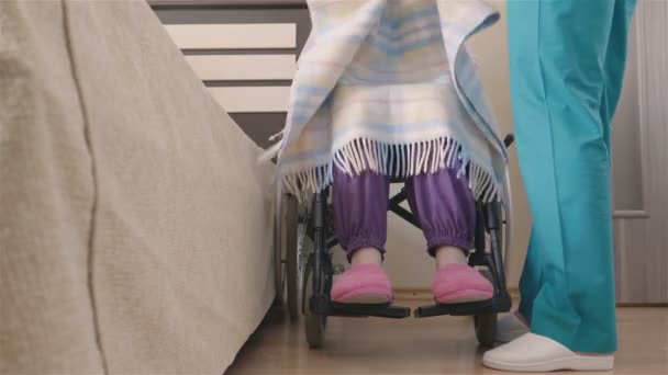 Young nurse caring of elder disabled woman in wheelchair - Filmagem, Vídeo