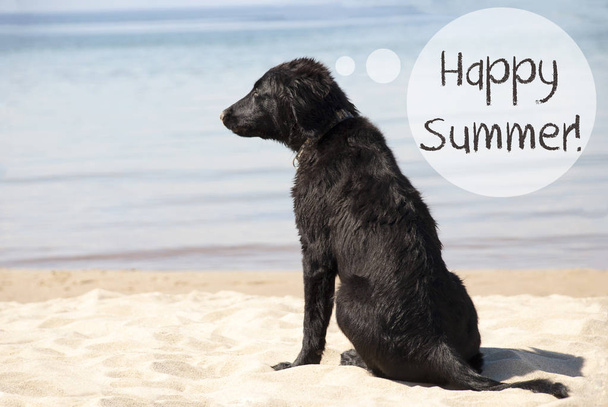 Dog At Sandy Beach, Text Happy Summer - 写真・画像