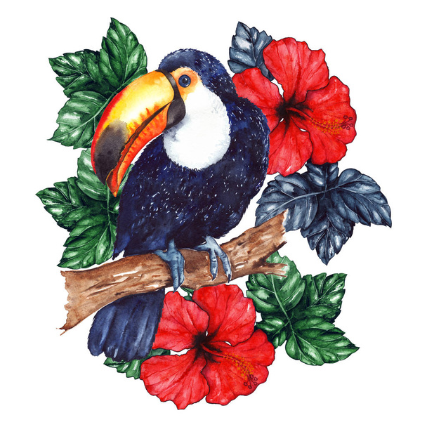 Акварель екзотичні тропічні тварини птах тукан квітка гібіскус ізольовані
 - Фото, зображення