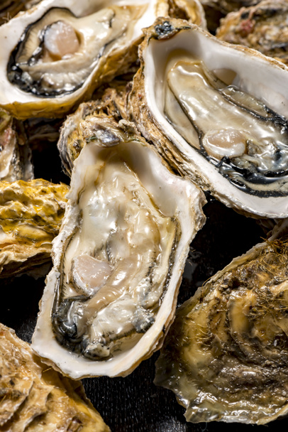 frische rohe Auster mit Schale - Foto, Bild