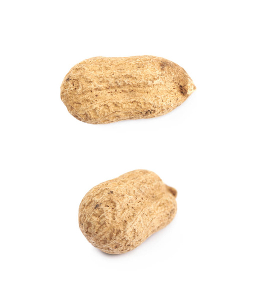 Single peanut in a shell isolated - Foto, Imagem