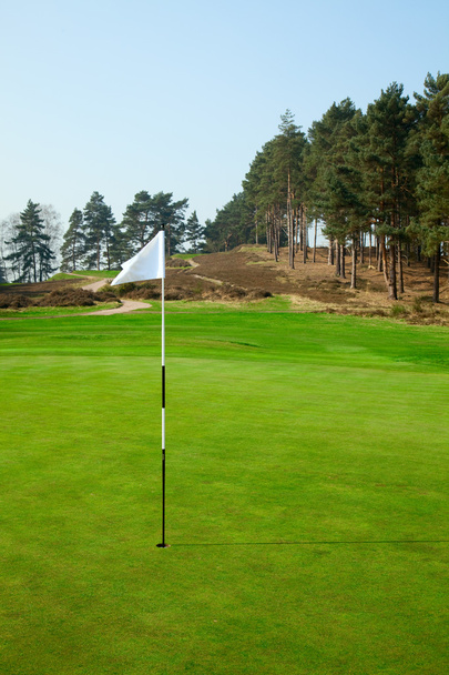 vlajka na hřišti golf - Fotografie, Obrázek