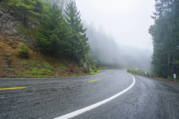 Lonesome road in the mist leading through the Redwoods National Park - Φωτογραφία, εικόνα