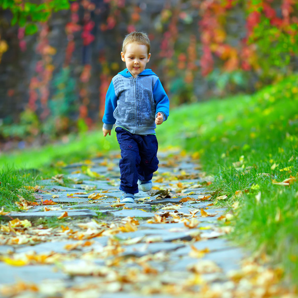 Cute baby boy running beautiful autumn footpath - Фото, зображення