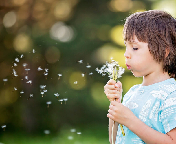 Child having fun, blowing dandelions - Foto, immagini