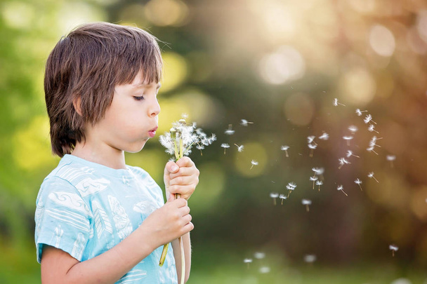 Child having fun, blowing dandelions - Foto, imagen