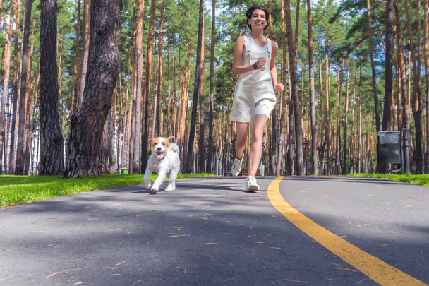 Mujer joven y su perro corriendo juntos en el parque en el día de verano. Entrenamiento deportivo humano y de mascotas al aire libre
 - Foto, Imagen